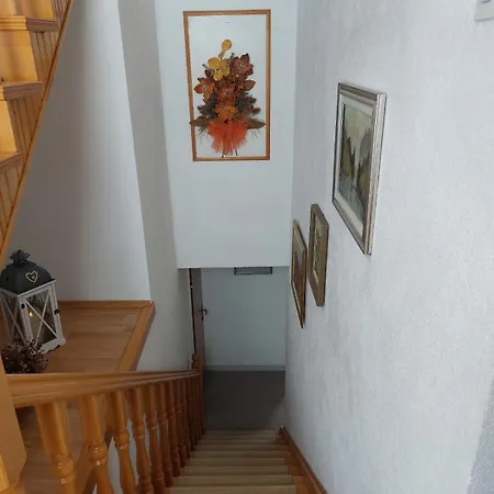 Apartment Vidikovac